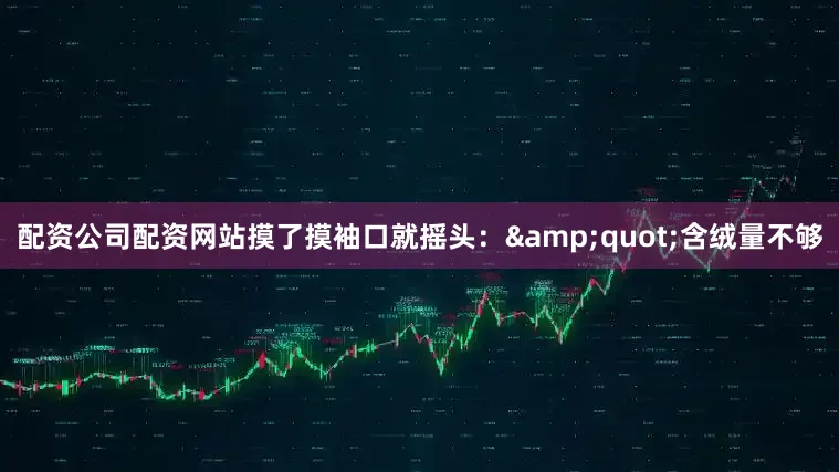 配资公司配资网站摸了摸袖口就摇头：&quot;含绒量不够