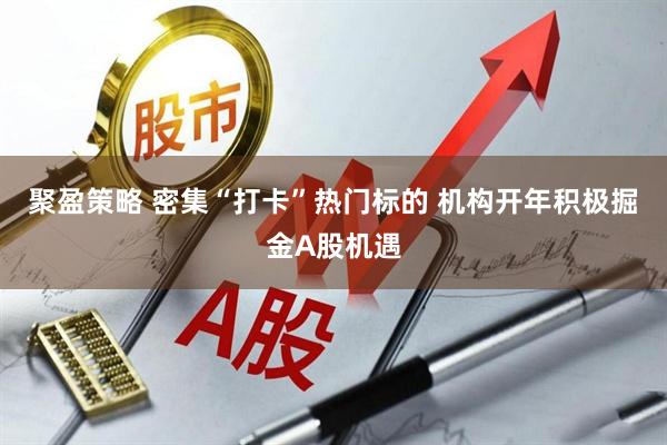 聚盈策略 密集“打卡”热门标的 机构开年积极掘金A股机遇